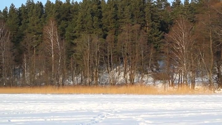 Frozen Lake 6