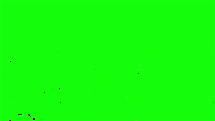 4k Blood Burst Slow Motion (Green Screen) 115