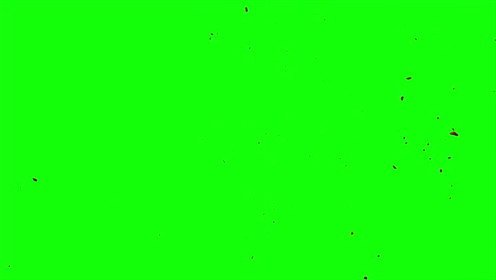 4k Blood Burst Slow Motion (Green Screen) 128
