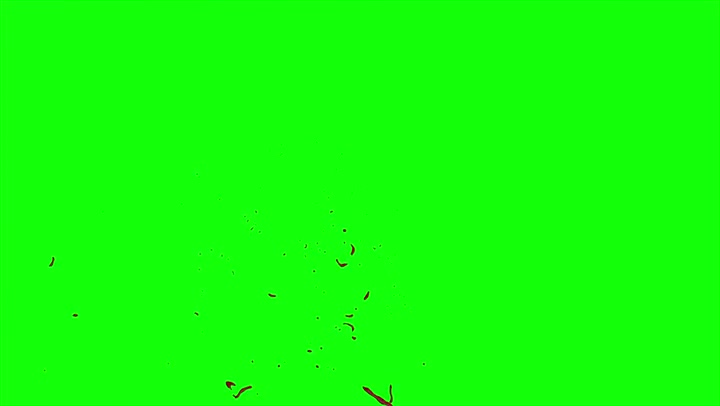 4k Blood Burst Slow Motion (Green Screen) 165