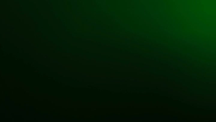 Light Leaks Element 162