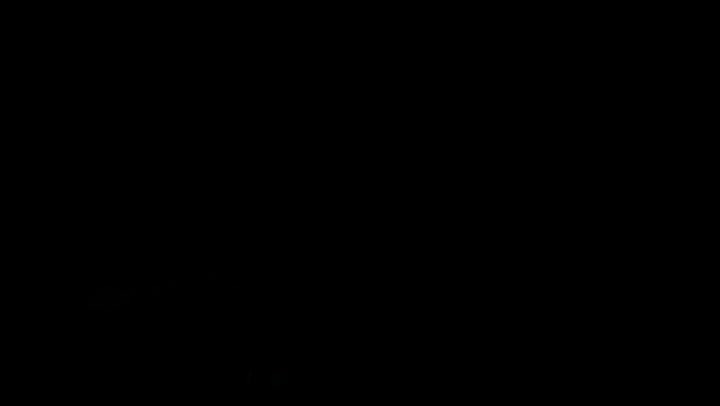 Light Leaks Element 178