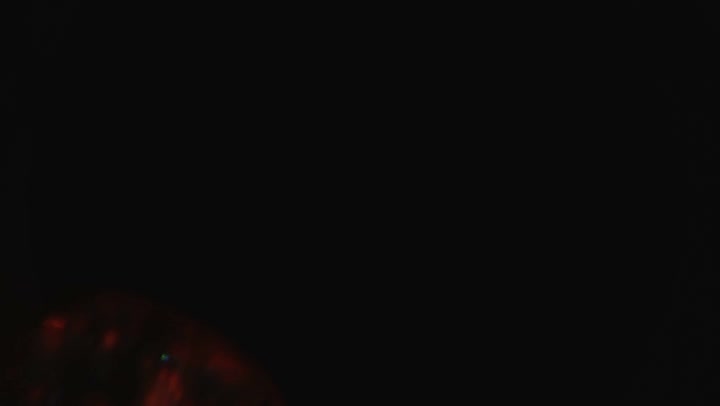 Light Leaks Element 193