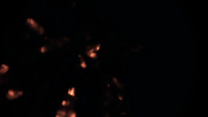 Light Leaks Element 196