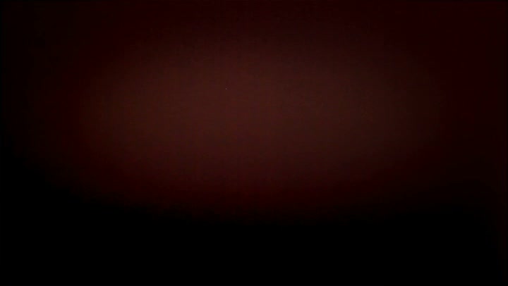 Light Leaks Element 213