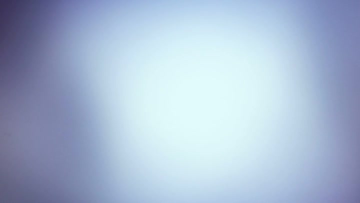 Light Leaks Element 245