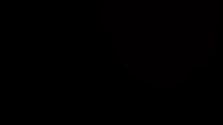 Light Leaks Element 271