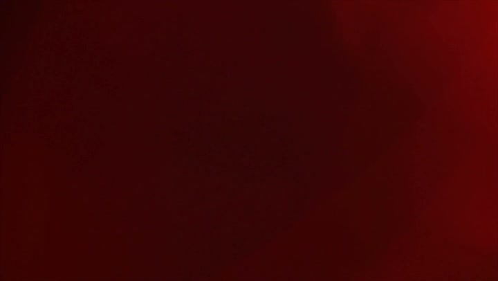 Light Leaks Element 274