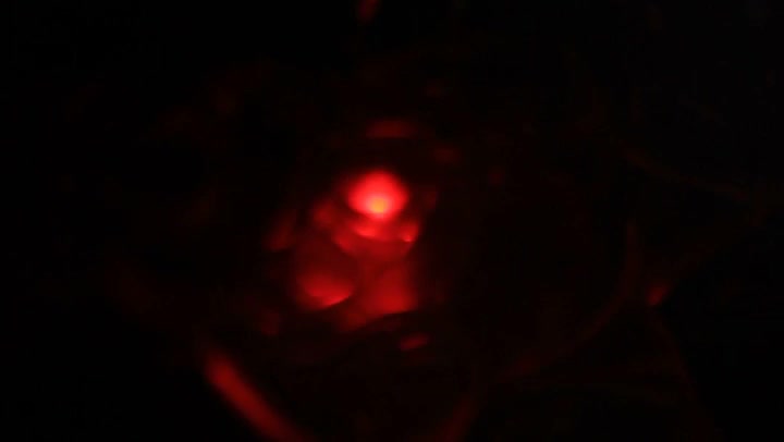 Light Leaks Element 291