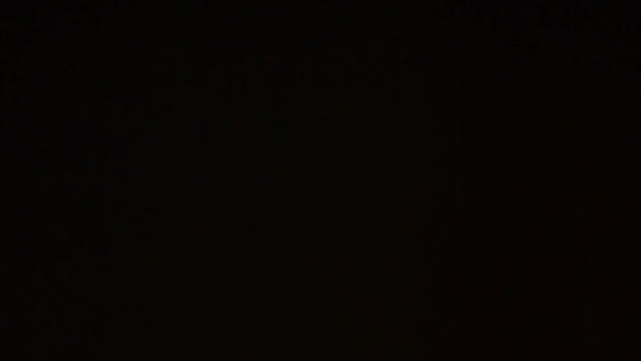 Light Leaks Element 293