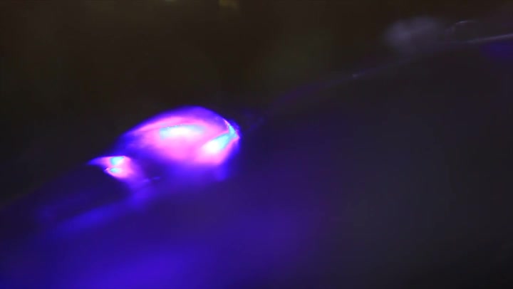 Light Leaks Element 288