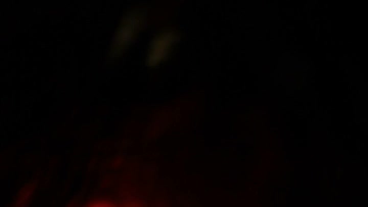 Light Leaks Element 292