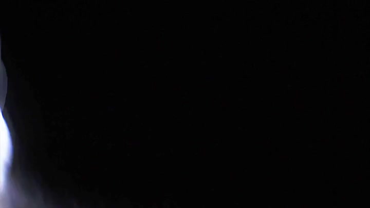 Light Leaks Element 296