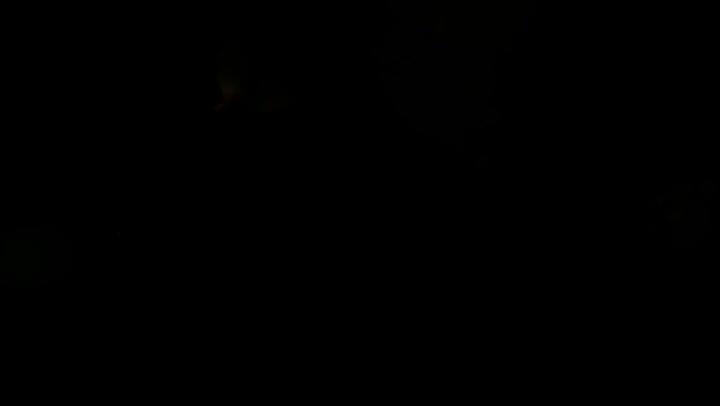 Light Leaks Element 304