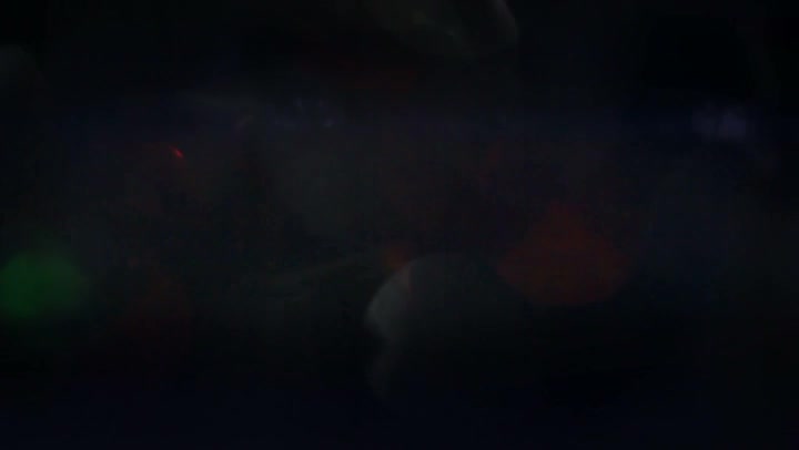 Light Leaks Element 301