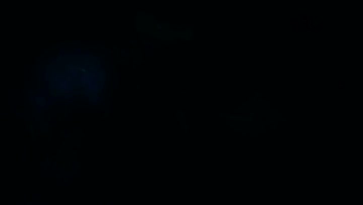 Light Leaks Element 303