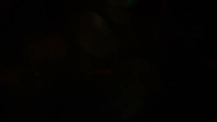 Light Leaks Element 307