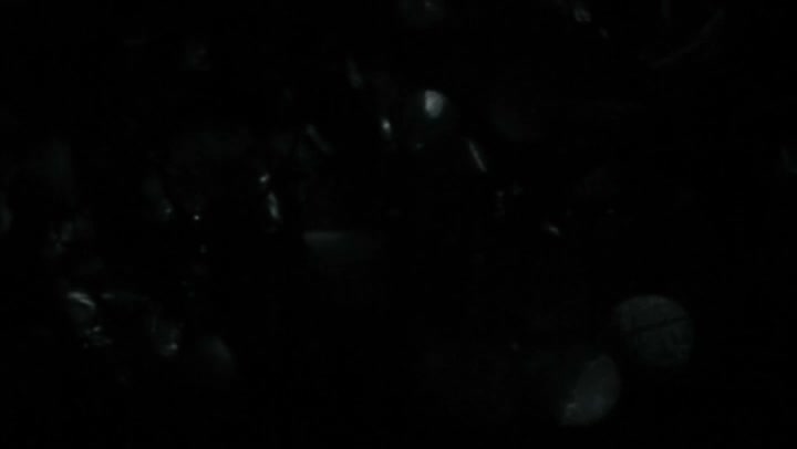 Light Leaks Element 309