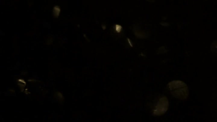 Light Leaks Element 308