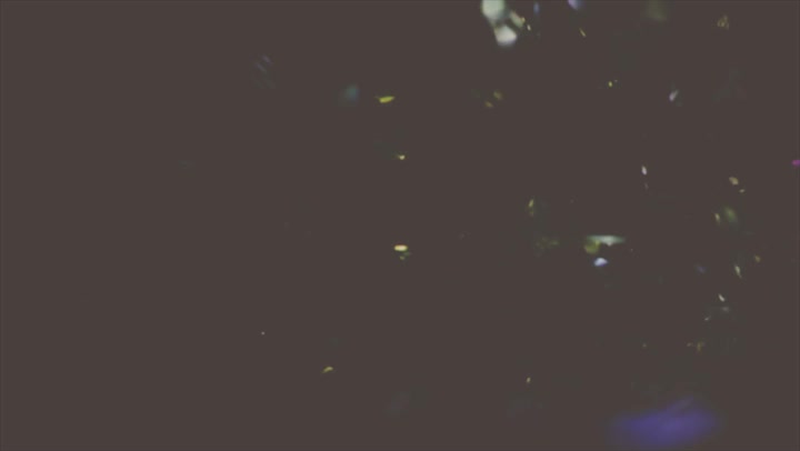 Light Leaks Element 314