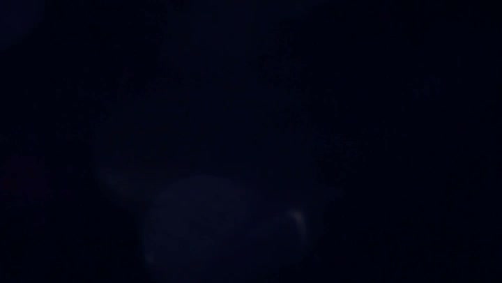 Light Leaks Element 323