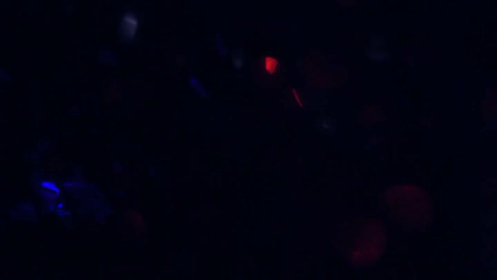 Light Leaks Element 320