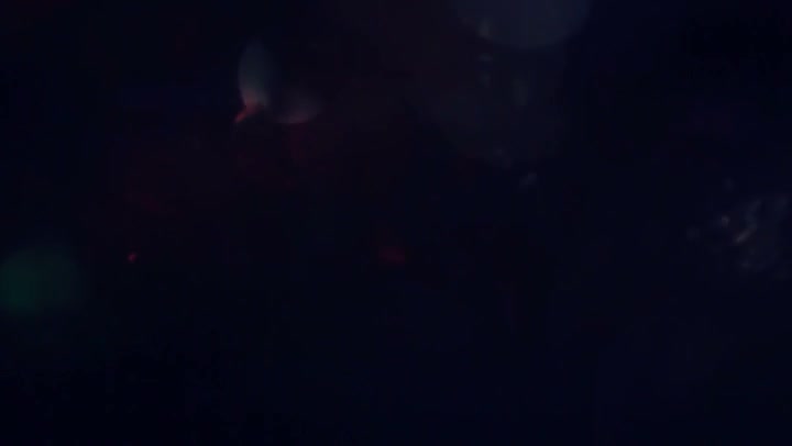 Light Leaks Element 324