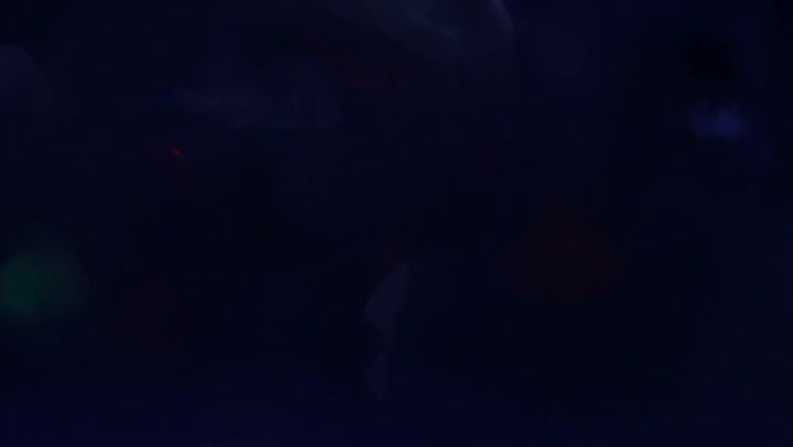 Light Leaks Element 327