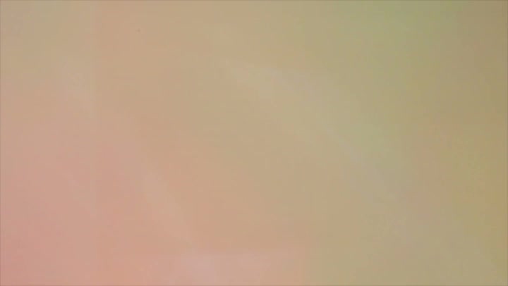 Light Leaks Element 329