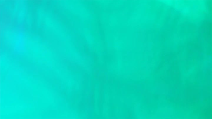 Light Leaks Element 338