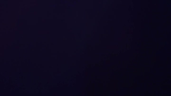 Light Leaks Element 341