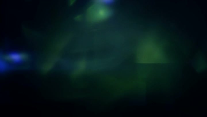 Light Leaks Element 346