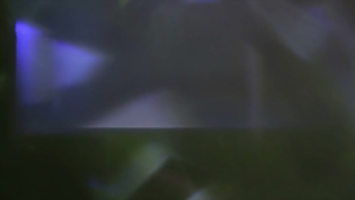 Light Leaks Element 348