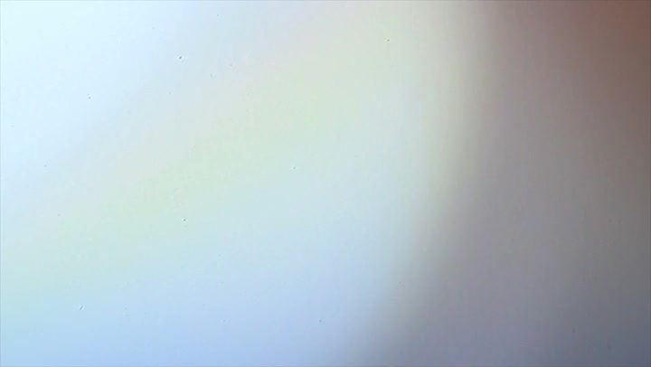 Light Leaks Element 379