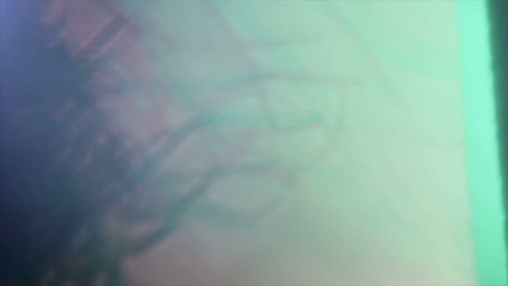 Light Leaks Element 387