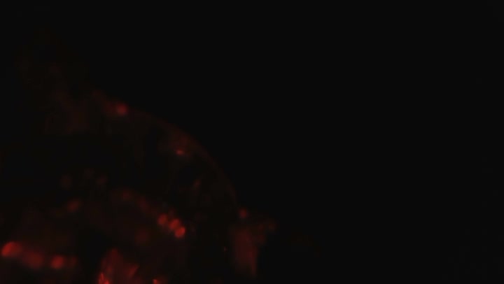 Light Leaks Element 407