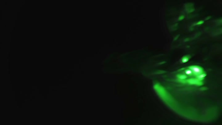 Light Leaks Element 408