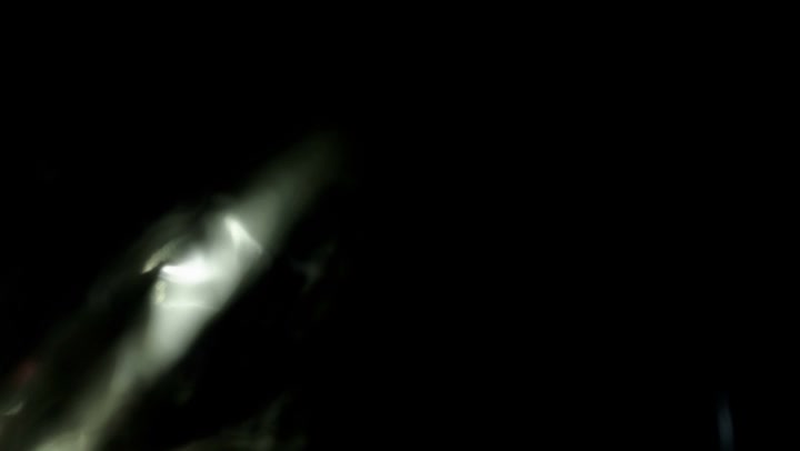 Light Leaks Element 418