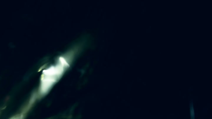 Light Leaks Element 417