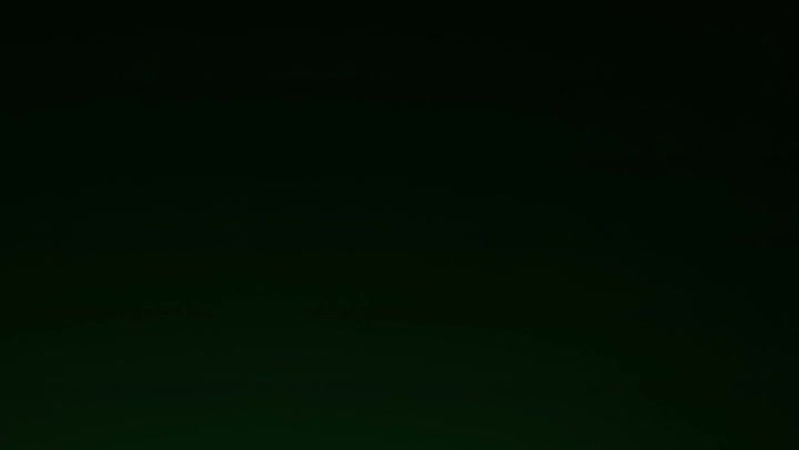 Light Leaks Element 437