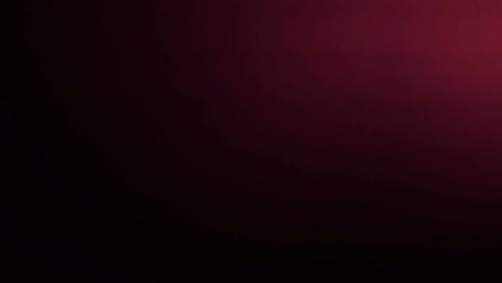 Light Leaks Element 442