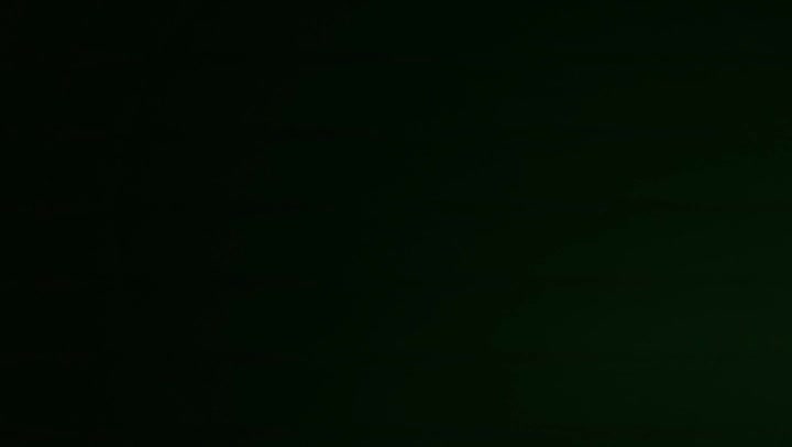 Light Leaks Element 439