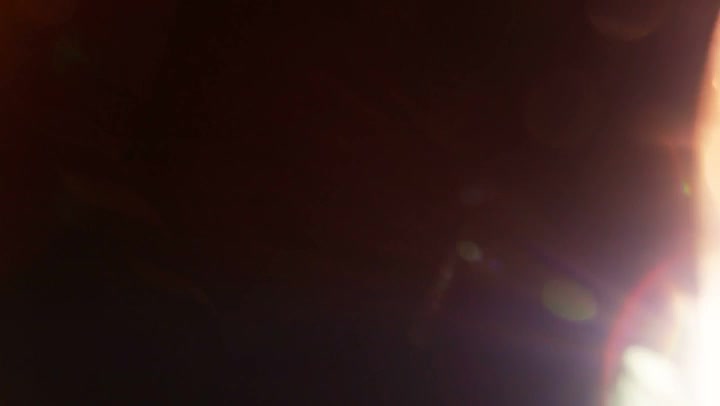 Light Leaks Element 452