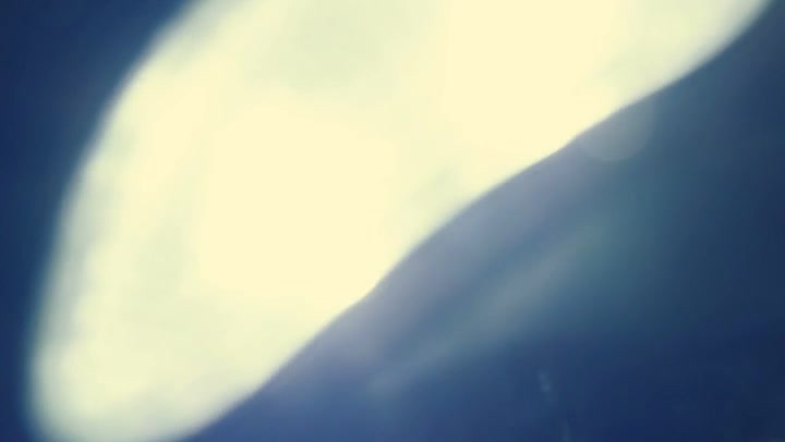 Light Leaks Element 464