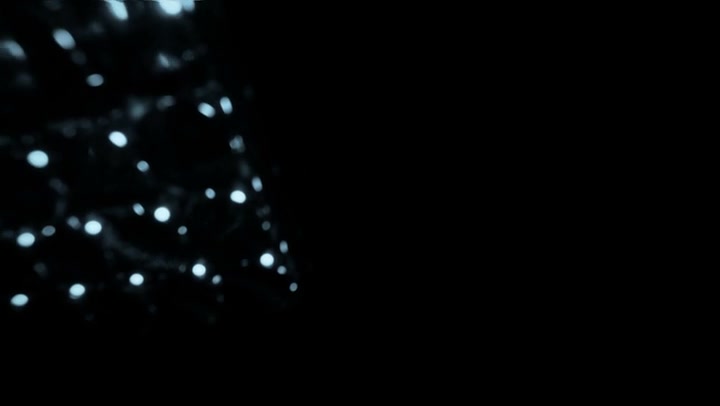 Light Leaks Element 481