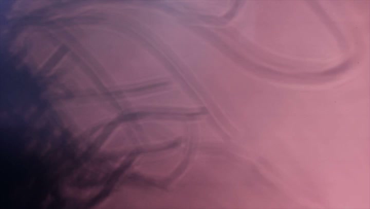 Light Leaks Element 13