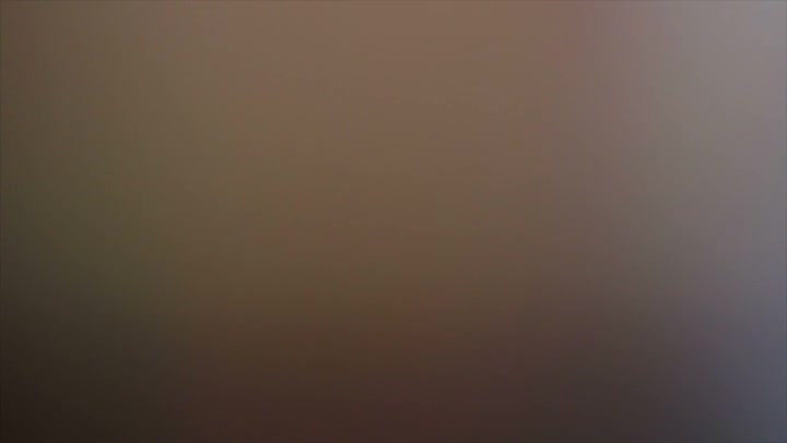 Light Leaks Element 22