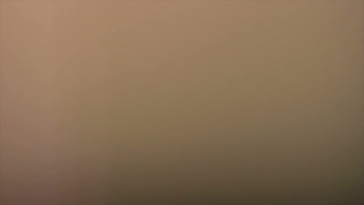 Light Leaks Element 24