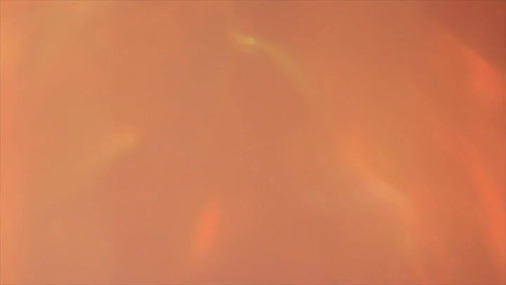 Light Leaks Element 33