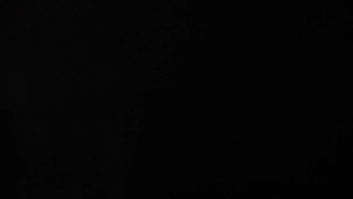 Light Leaks Element 54